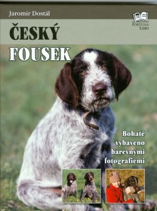 Český fousek