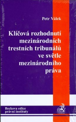 Klíčová rozhodnutí mezinárodních trestních tribunálů ve světle mezinárodního práva