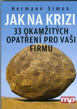 Jak na krizi