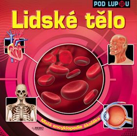 Lidské tělo