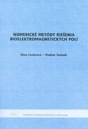 Numerické metódy riešenia bioelektromagnetických polí