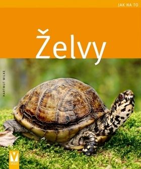 Želvy - Jak na to