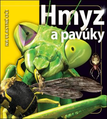 Hmyz a pavúky