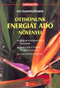 Otthonunk energiát adó növényei