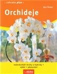 Orchideje