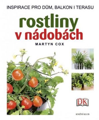 Rostliny v nádobách