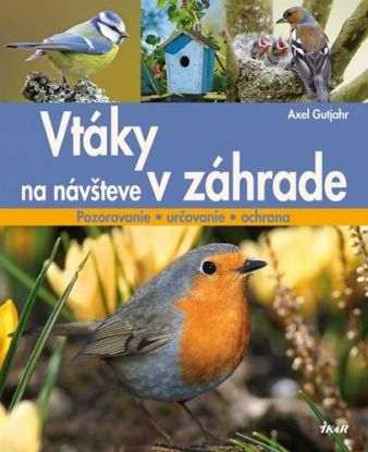 Vtáky na návšteve v záhrade