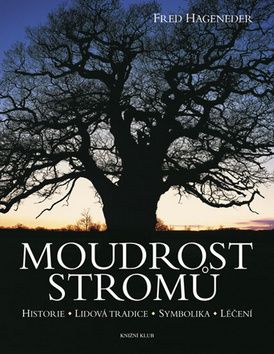 Moudrost stromů