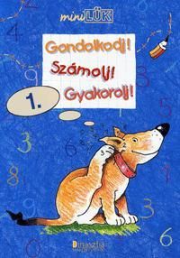 Gondolkodj! Számolj! Gyakorolj! 1.