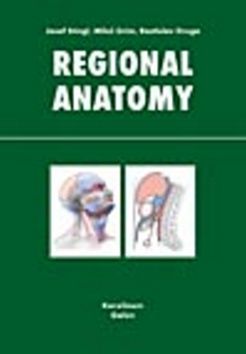 Regional anatomy