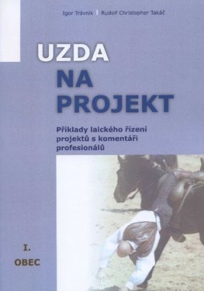 Uzda na projekt - Příklady laického řízení projektů s komentáři profesionálů