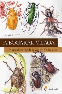 A bogarak világa