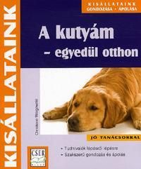 A kutyám - egyedül otthon