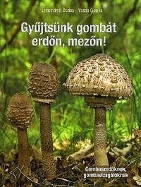 Gyűjtsünk gombát erdőn, mezőn!