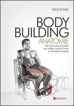 Bodybuilding anatomie