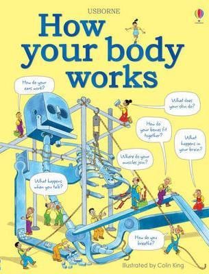 How Your Body Works