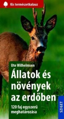 Állatok és növények az erdőben