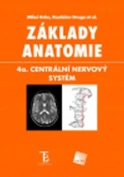 Základy anatomie 4