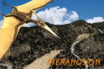 3D pohľadnica Pteranodon