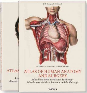 Atlas of Human Anatomy and Surgery