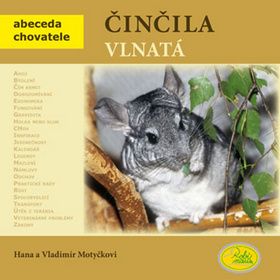 Cincila Vlnata