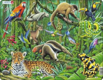 Puzzle Južná Amerika - Dažďový prales zvieratá Larsen FH10-ZZ
