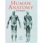 Human Anatomy