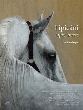 Lipicáni Lipizzaners