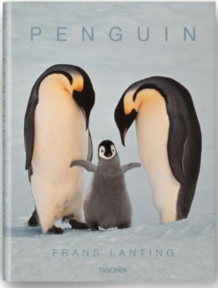 Penguins