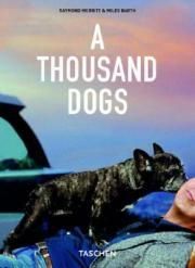 Thousand Dogs 25 Ko