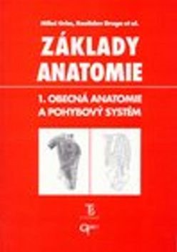 Základy anatomie