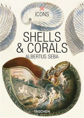 Shells and Corals