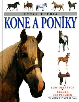 Kone a poníky