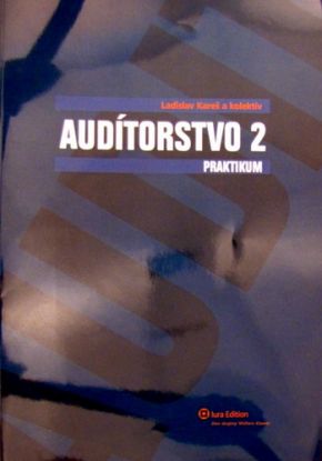 Audítorstvo 2 - Praktikum