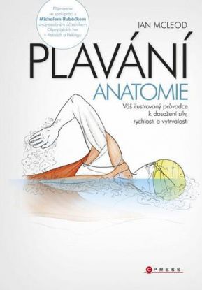 Plavání - anatomie