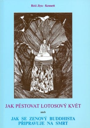 Jak pěstovat lotosový květ