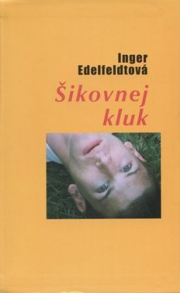 Sikovnej kluk