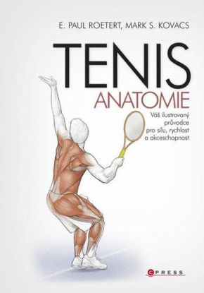 Tenis - anatomie