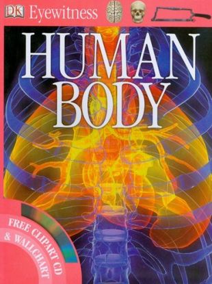 Human Body+CD (Eyewitness)