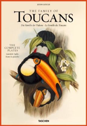 Family of Toucans