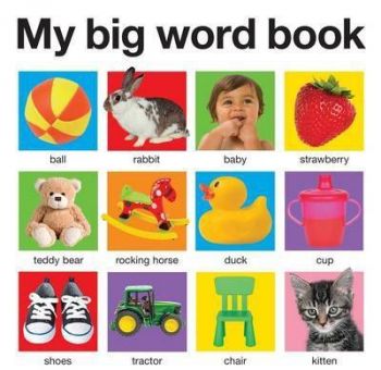 My Big Word Book