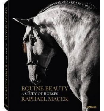 Equine Beauty