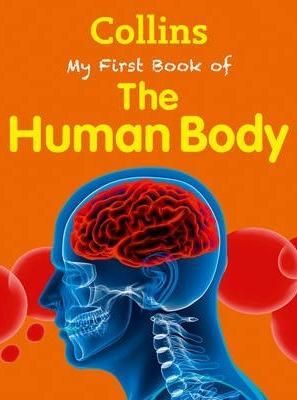 My First Book Of The Human Body