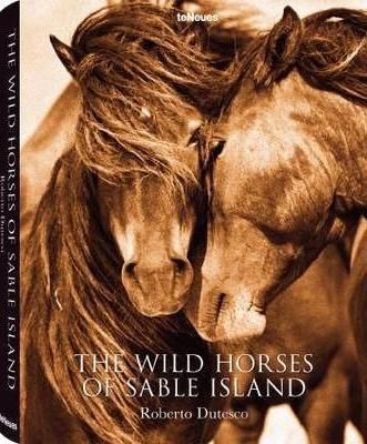 The Wild Horses of Sable