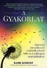 A gyakorlat