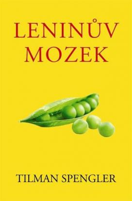 Leninův mozek