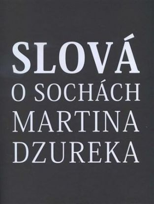 Slová o sochách Martina Dzureka