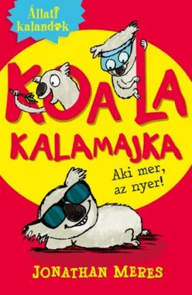 Koala kalamajka 1.