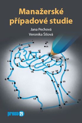 Manažerské případové studie