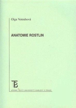 Anatomie rostlin